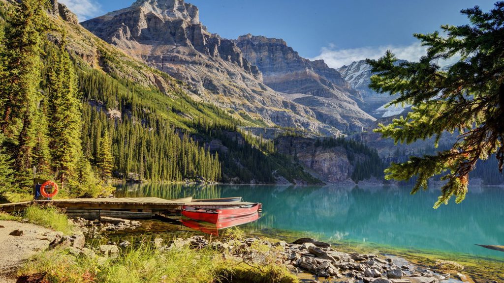 aquascaping-inspiration-nature-1