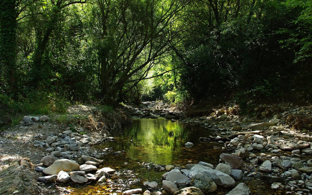 aquascaping-inspiration-nature-1