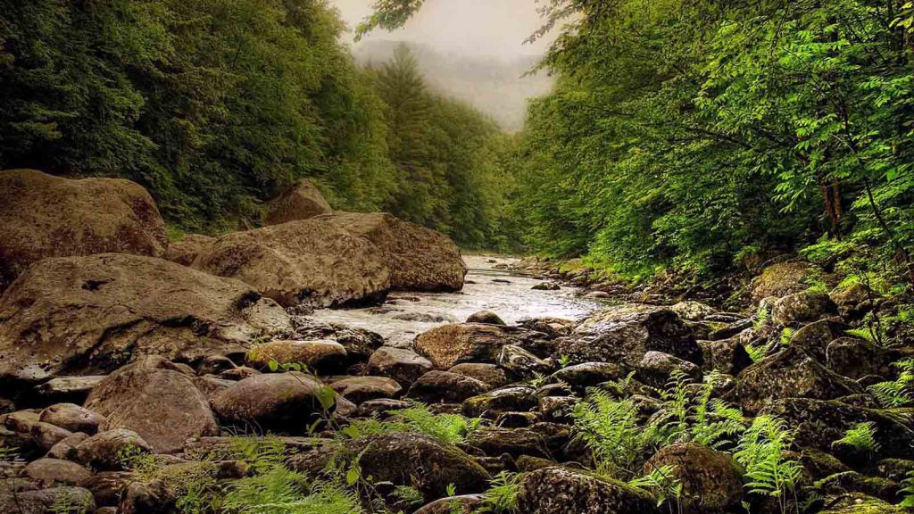 aquascaping-inspiration-nature-1