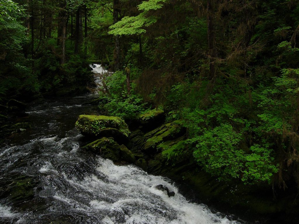 aquascaping-inspiration-nature-1