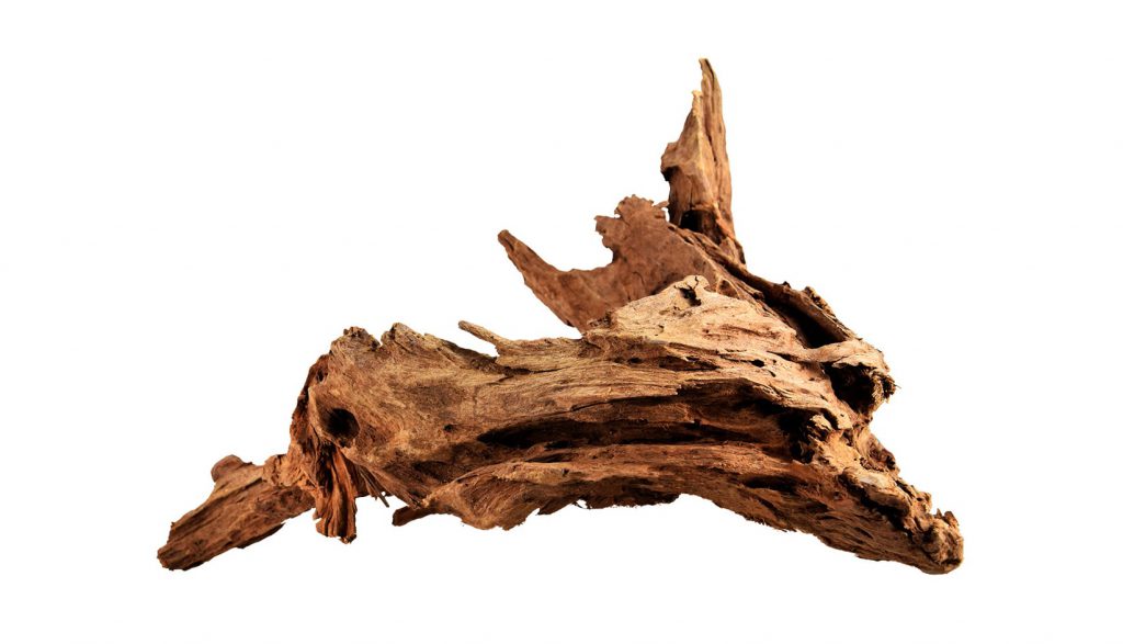 malaysian-driftwood-aquascaping